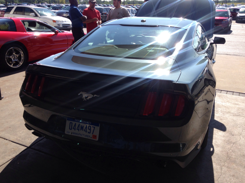 Illustration for article titled More pics of the Mustang
